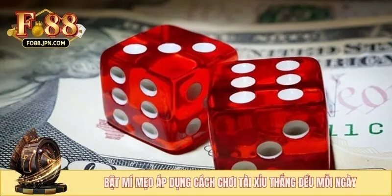 Bật mí mẹo áp dụng cách chơi tài xỉu thắng đều mỗi ngày